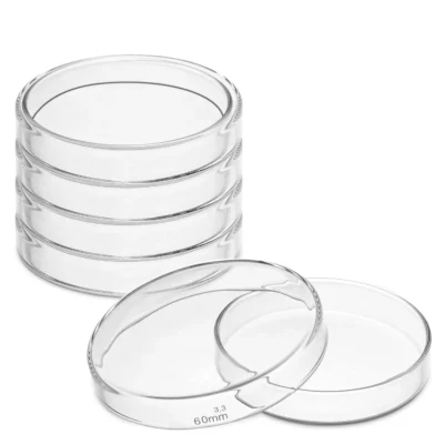 100 MM Transparent Plastic Petri Dish With Lid