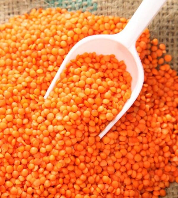 Jumbo Dhal Samudra 1 (Kg) - Image 3